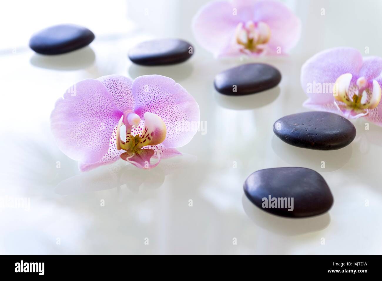 Therapeutic stones and orchids, studio shot. Stock Photo