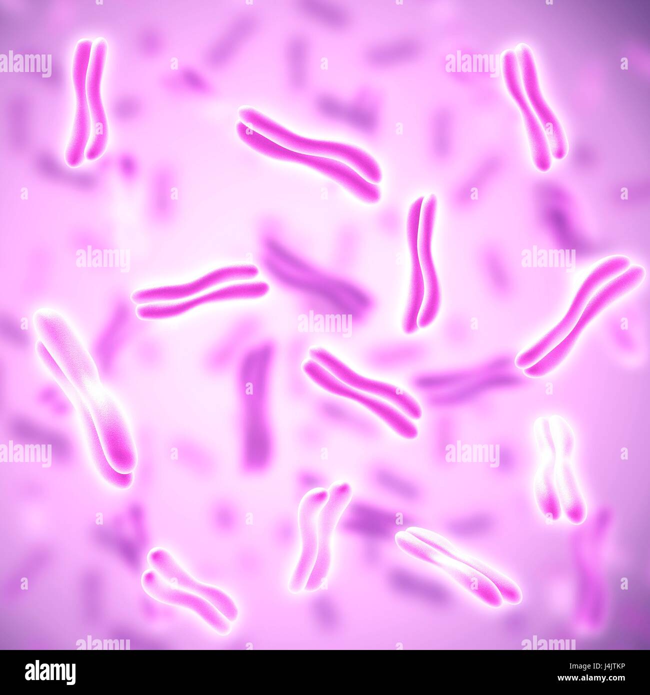 Illustration of human chromosomes Stock Photo - Alamy