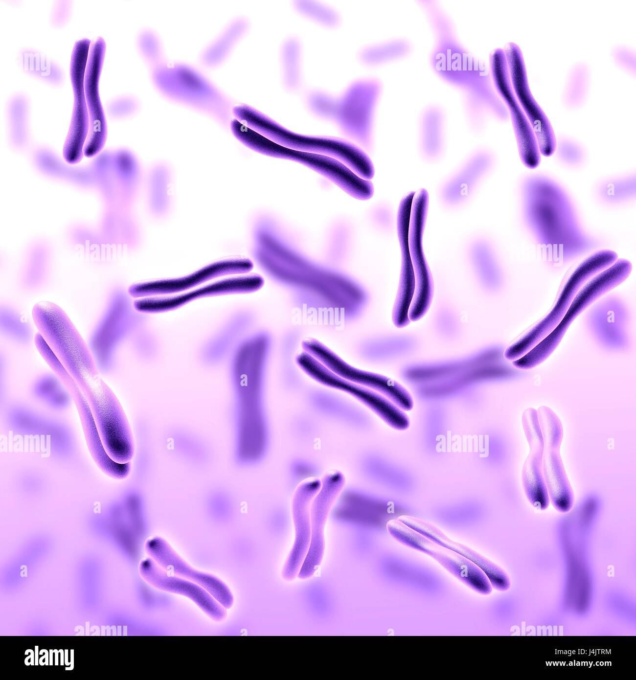 Illustration of human chromosomes Stock Photo - Alamy