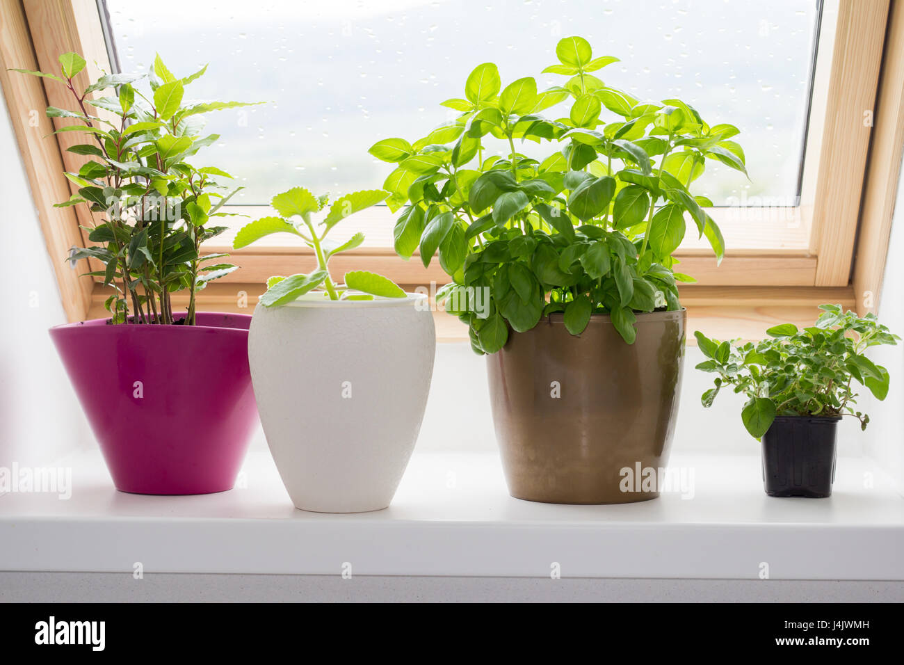herbs in interior Stock Photo