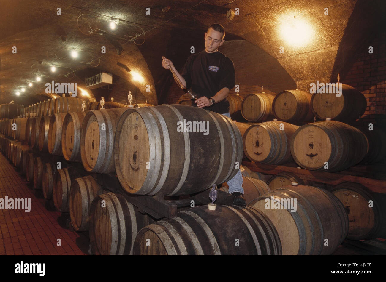 South Africa, western cape, Montagu, wine cellar, barrels, winegrowers