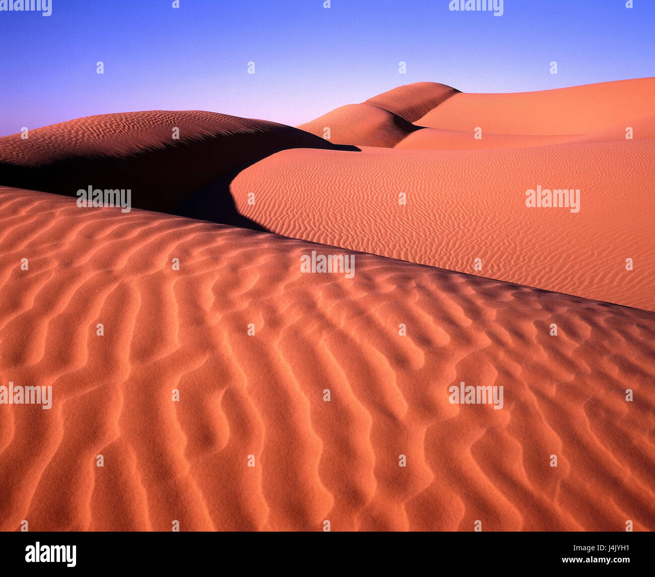 Tunisia, Sahara, Borj el Khadra, dune scenery Africa, nature, desert, wild scenery, Sand dunes, Sand, dryness, dryness, water shortage, life-hostilely, scenery, Rippelmarken Stock Photo