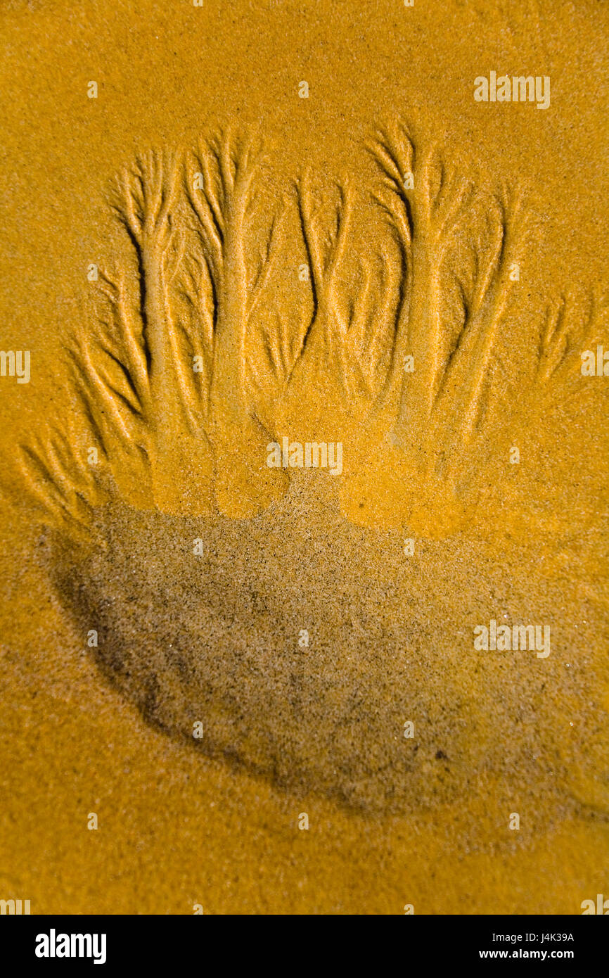 Beautiful patterns drawn in the sand creek. Stock Photo