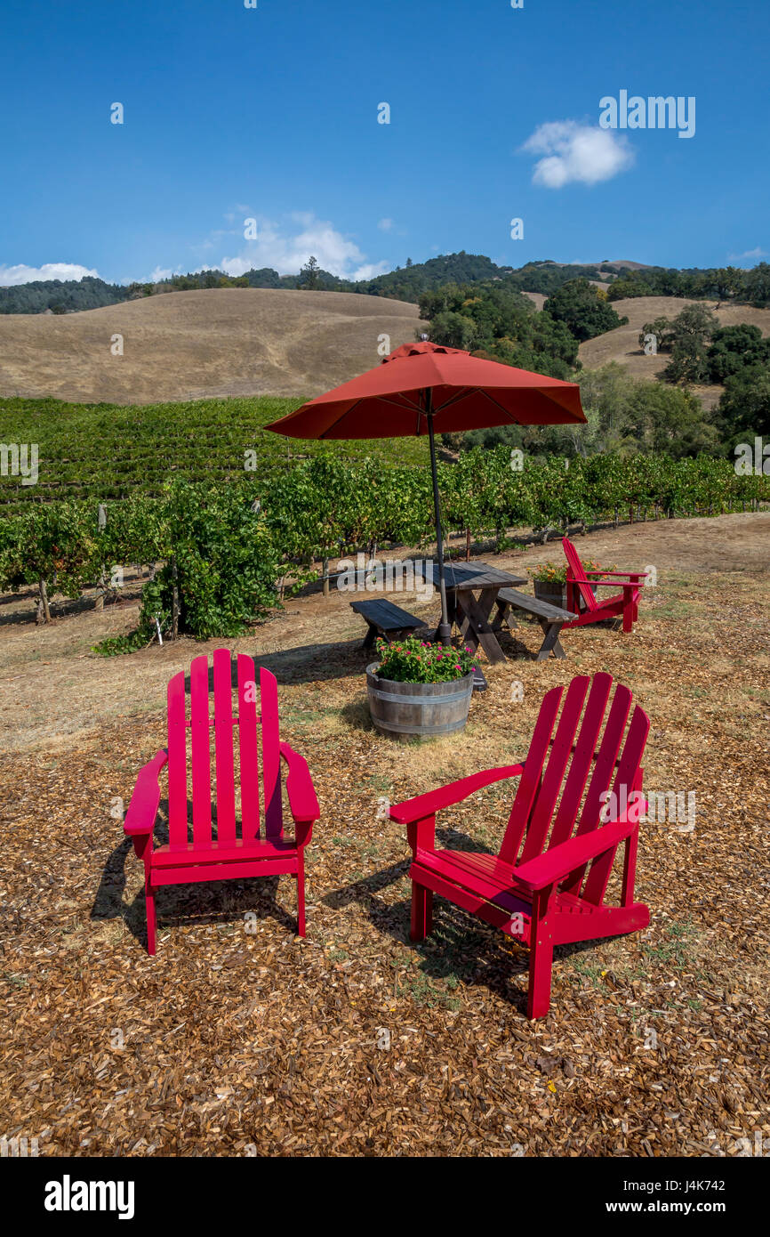 picnic table, grape vineyard, vineyard, vineyards, view from Hanna Winery and Vineyards, Healdsburg, Alexander Valley, Sonoma County, California Stock Photo