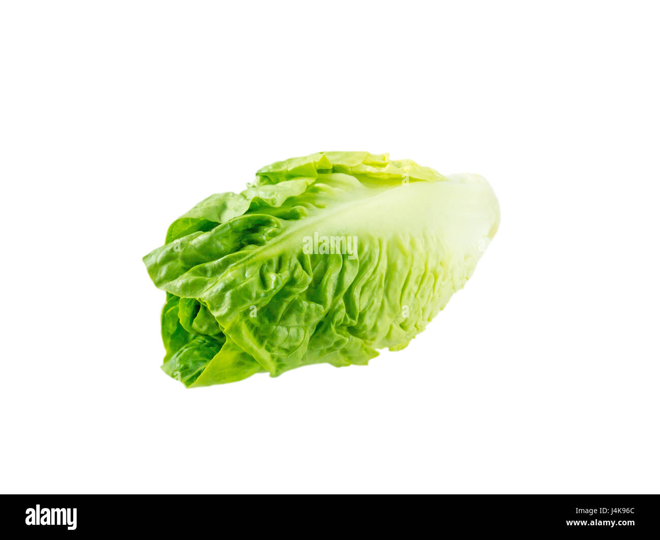 Cos lettuce salad head isolated on white Stock Photo