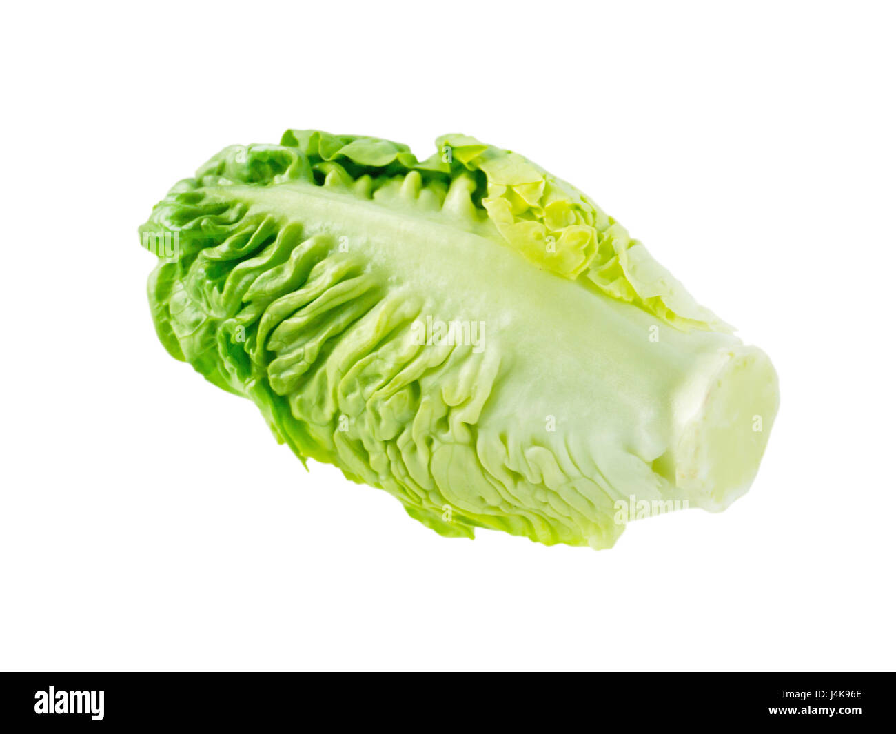 Green cos lettuce salad head isolated on white Stock Photo