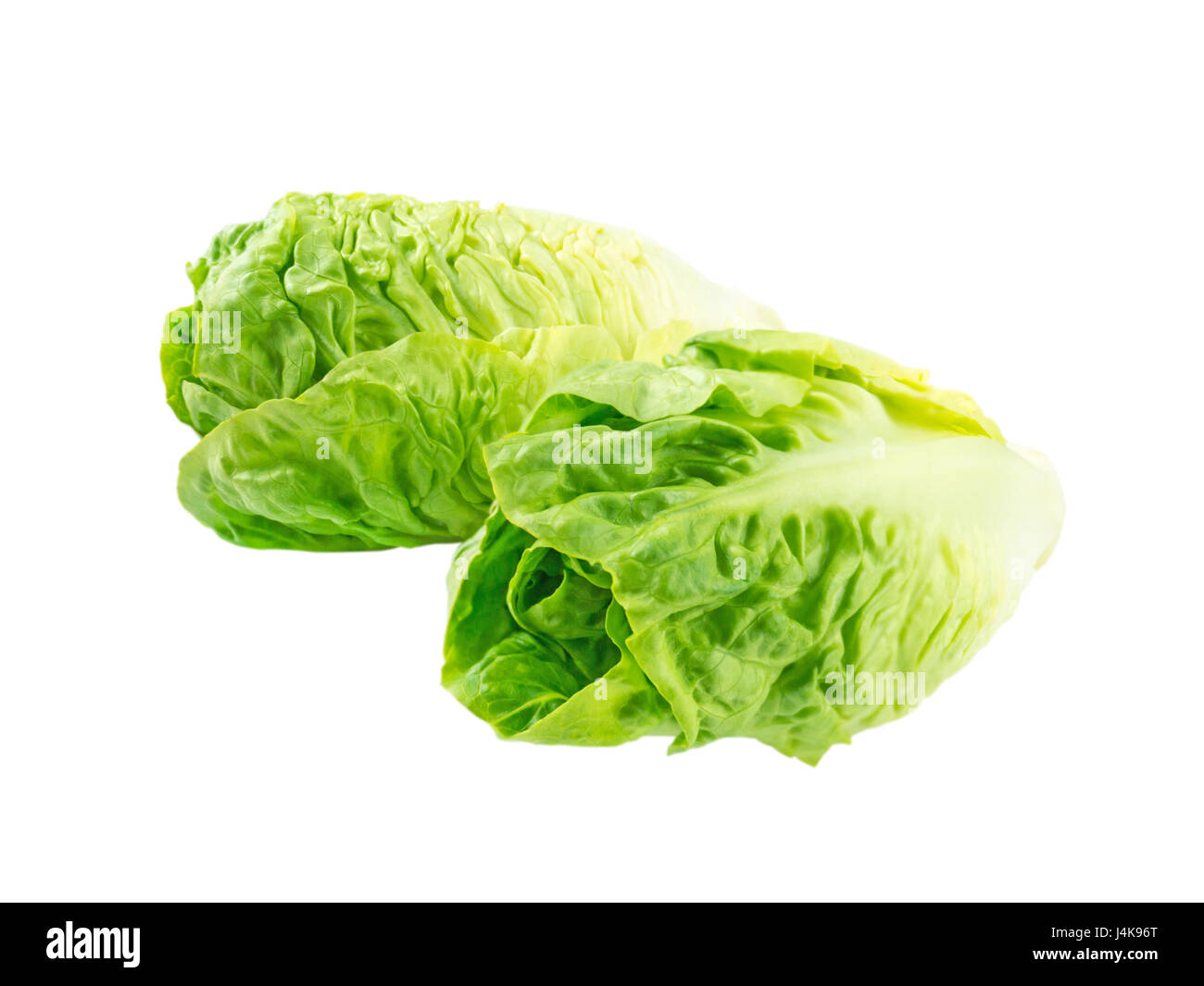 Two baby cos lettuce salad heads isolated on white Stock Photo