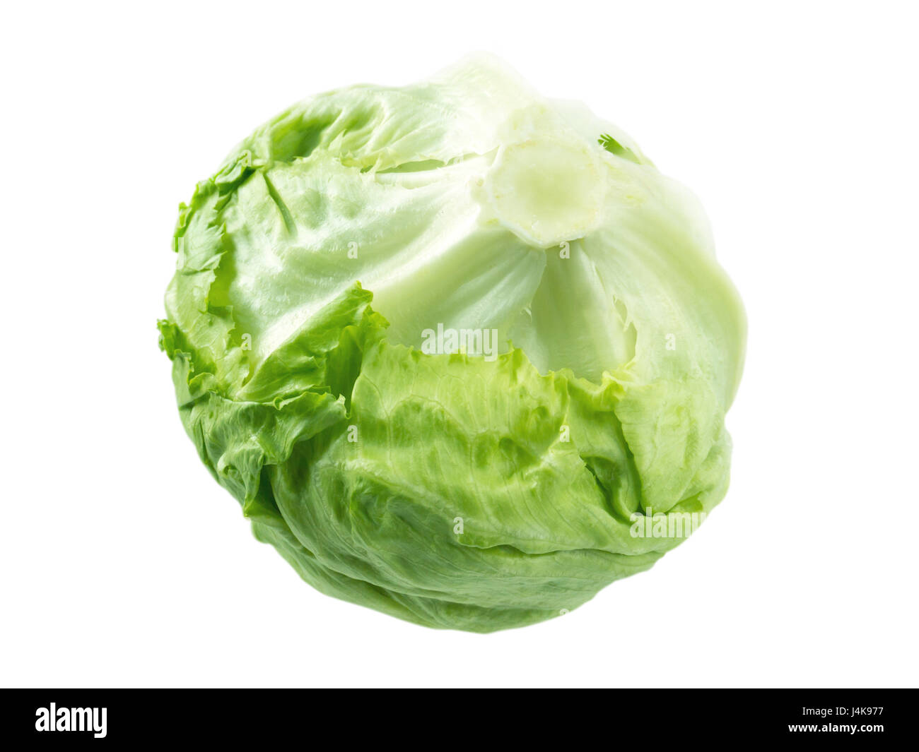 Iceberg lettuce salad head isolated on white Stock Photo Alamy