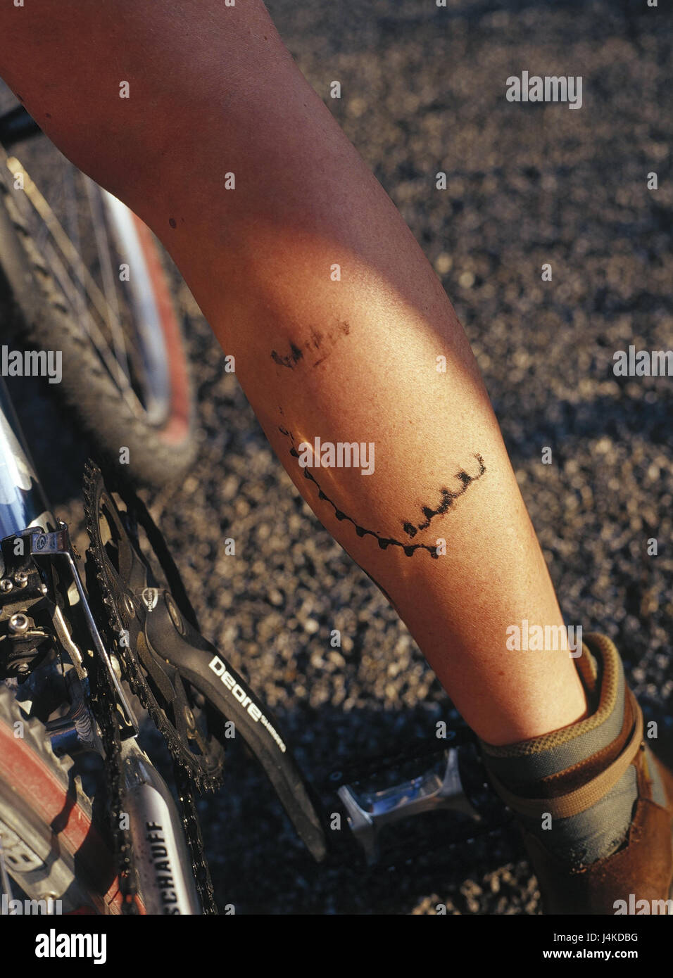 Cyclist, detail, bone, calf, catena bold woman, mountain biker, sport,  cycling, sportswoman, foot, shell, dirtily, second-rate theatre, smears,  catena second-rate theatre, outside Stock Photo - Alamy