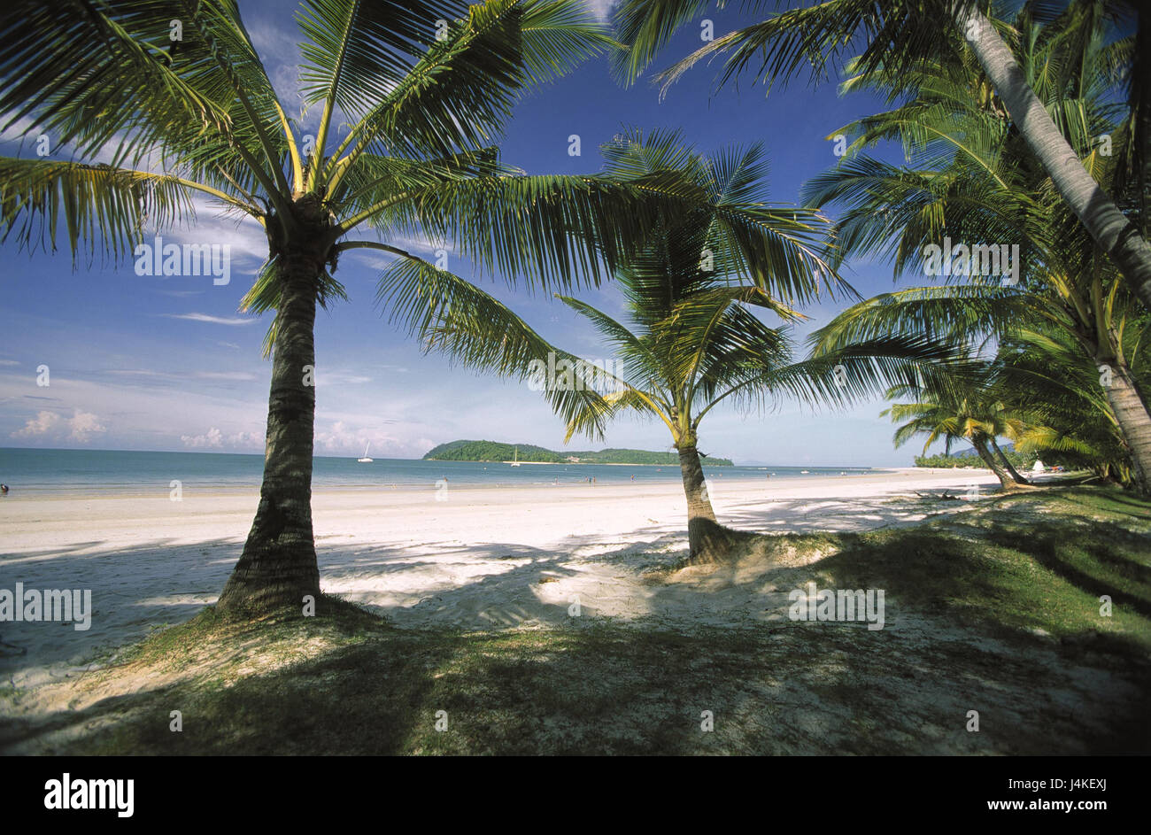 Malaysia Langkawi Pantai Cenang Beach Palm Beach Asia Peninsula Stock Photo Alamy