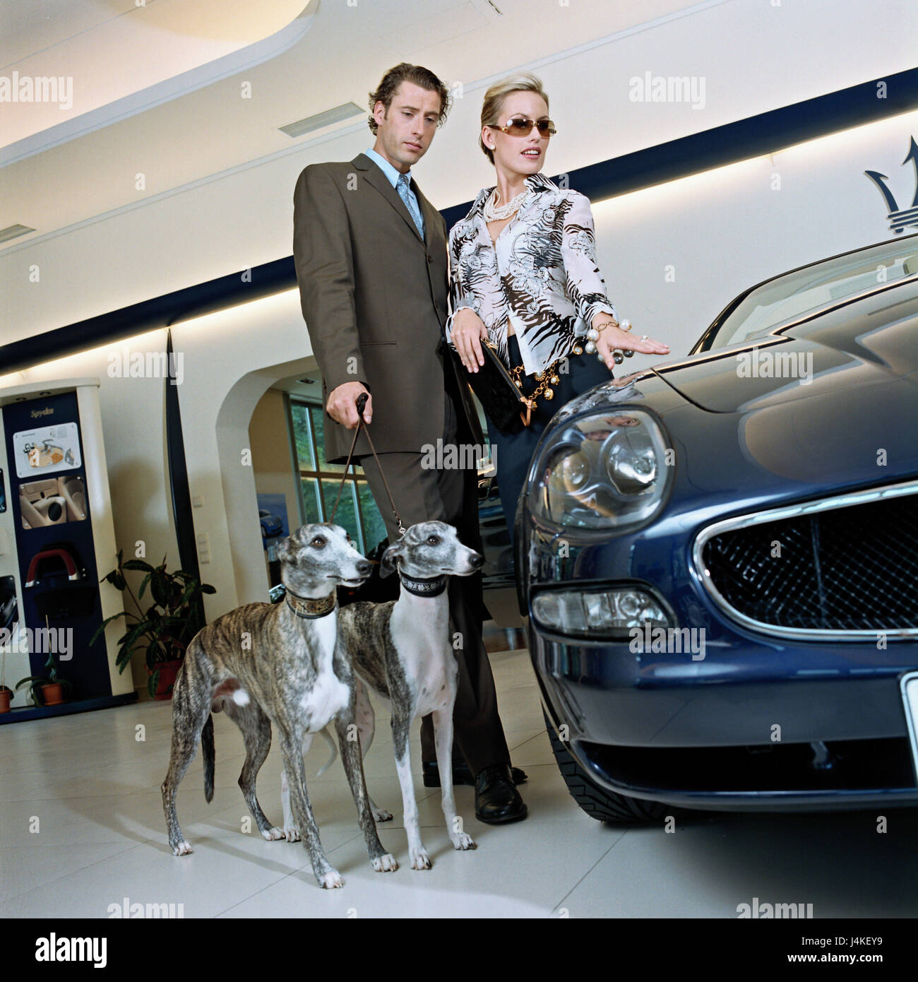 Car dealer, showroom, couple, elegantly, car, look, dogs exhibit, dog