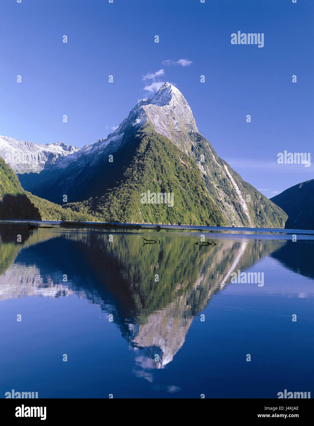 New Zealand, south island, fjord country national park, Mitre Peak New Zealand, mountain landscape, mountain, mountains, coast, fjord, water surface, mirroring, destination, place of interest, nature, rest, silence, Idyll Stock Photo