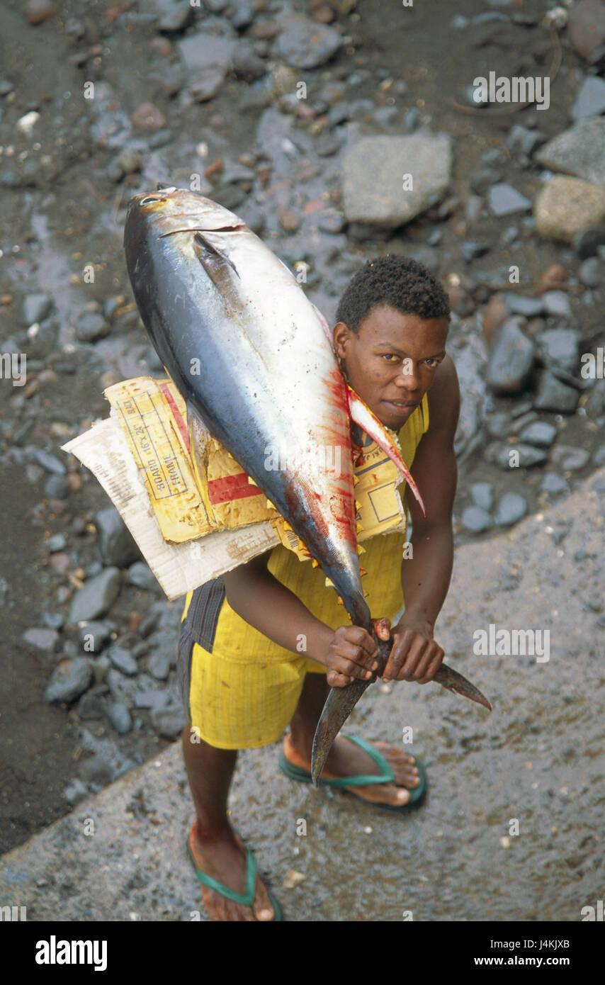 The Comoro Archipelago, island Anjouan, Mutsamudu, fisherman, shoulder, tuna, carries, to high-level views, from above, no model release! Africa, Indian ocean, island state, Nzwani, economy, fishing, angling, man, young, non-white, swarthy, swarthy, work, occupation, food, fish, freshly, catch-freshly Stock Photo