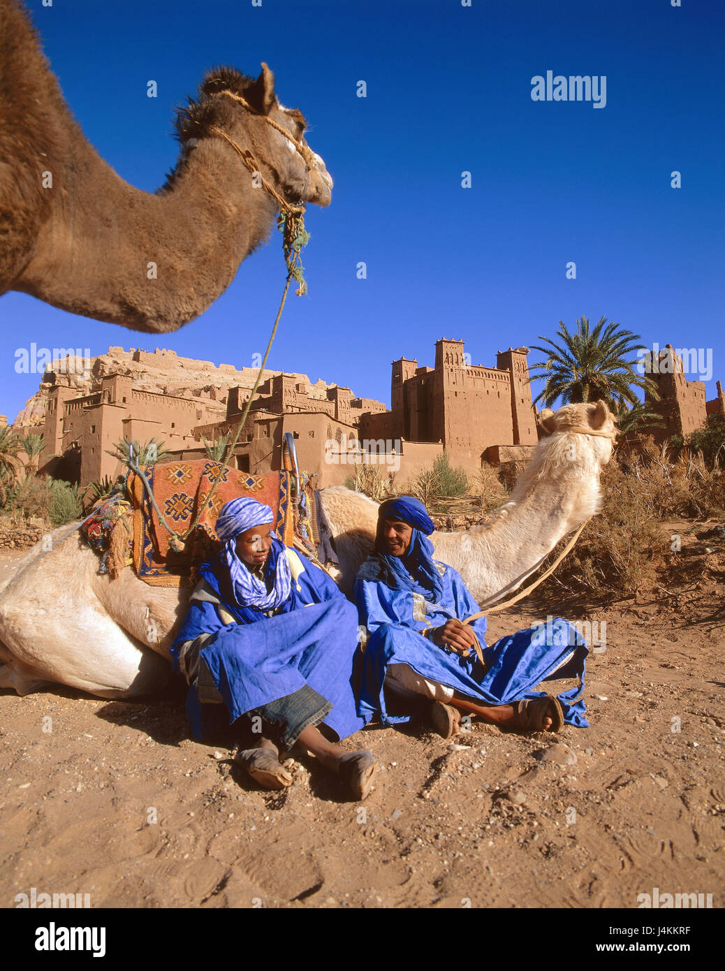 Morocco, Ait-Benhaddou, camels, Tuareg, clothes, turban, blue no model release Africa, nomad, shepherd's nomad, men, Imuschag, entertainment, conversation, rest, sit, floor, animals, mammals, riding animals, beasts of burden, cloven-hoofed animals, Schwielensohler Stock Photo