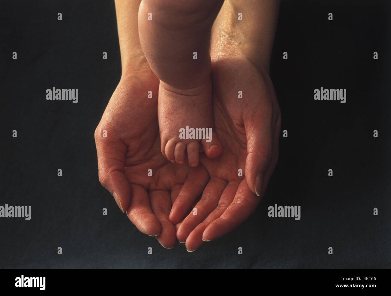 Mother, hands, baby, foot, hold limbs, shell, women's hands, child, baby foot, toes spread