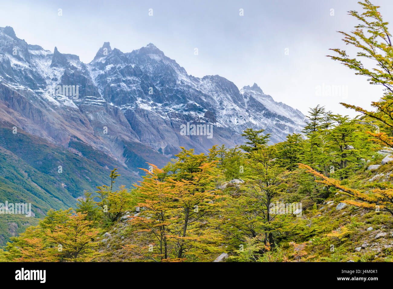 Patagonia landscape scene with snowy andes range mountains as main subject, El Chalten, Argentina Stock Photo