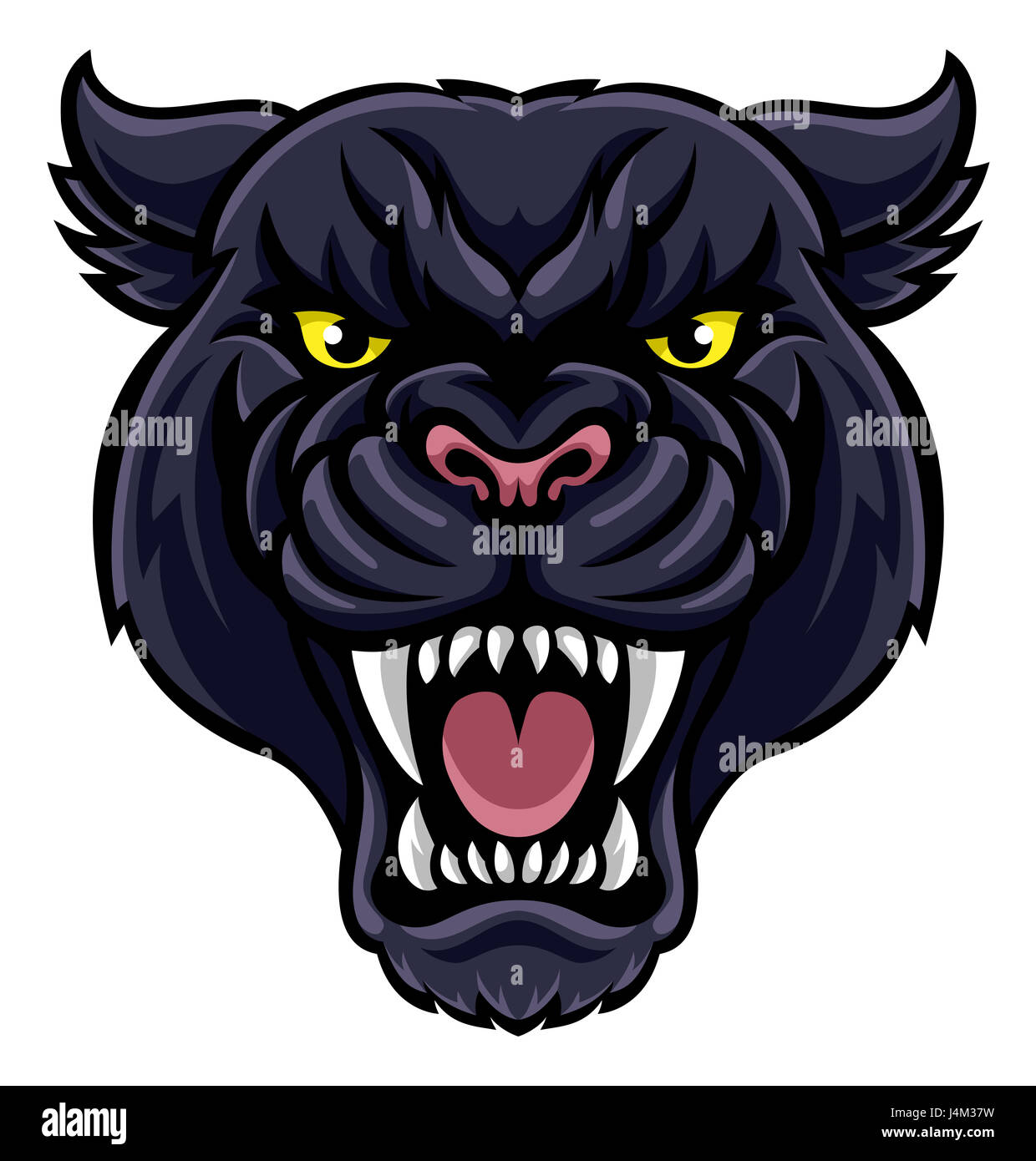 An angry looking black panther mascot animal character Stock Photo - Alamy