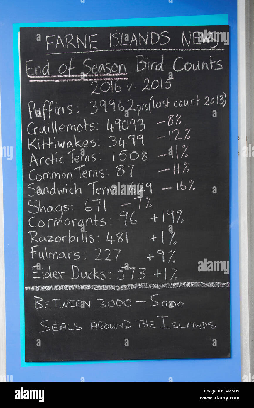 A chalkboard at North Sunderland Harbour in Northumberland in England records wildlife numbers. Stock Photo