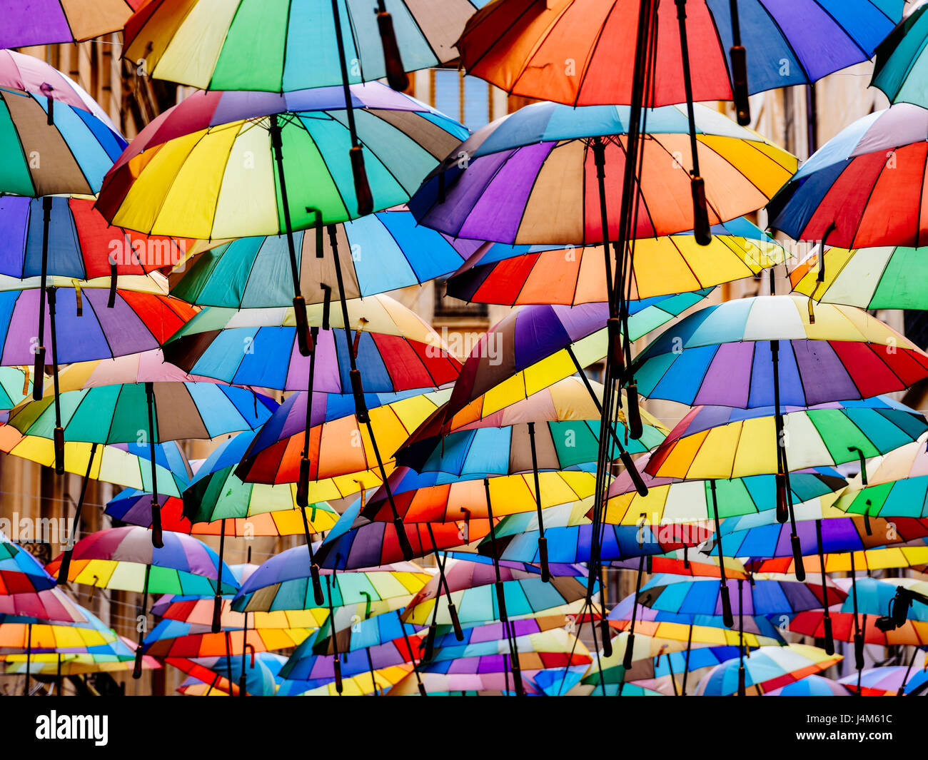 Pride and unity in diversity hires stock photography and images Alamy