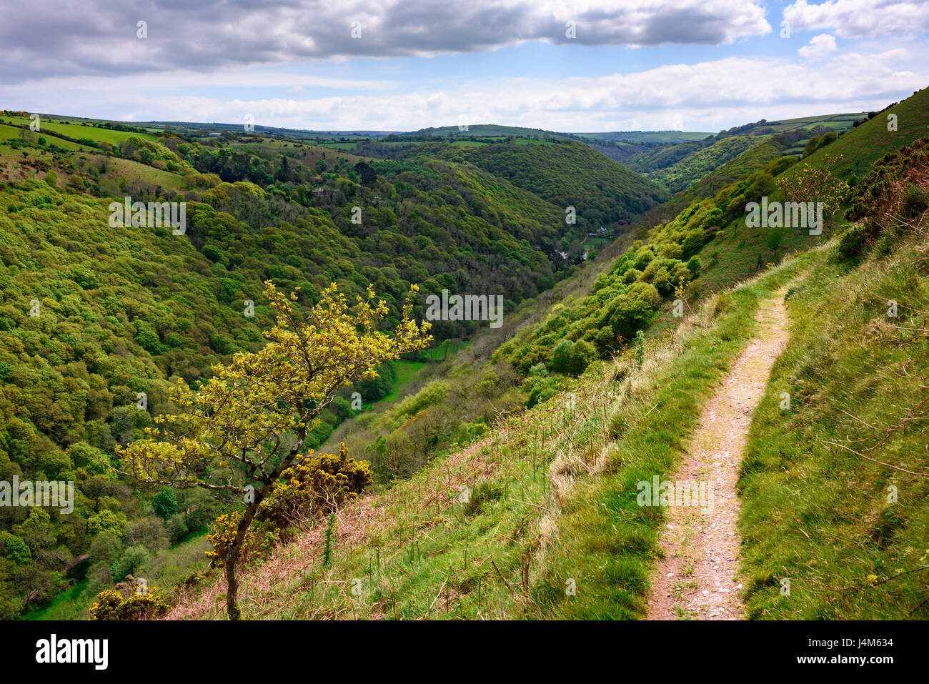 The Heddon valley in spring from the south west coast path, Exmoor National Park, Devon, England. Stock Photo