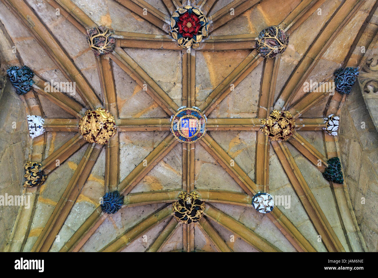 The decorated vaulted ceiling of the cloisters at Magdalen College, Oxford University, England Stock Photo