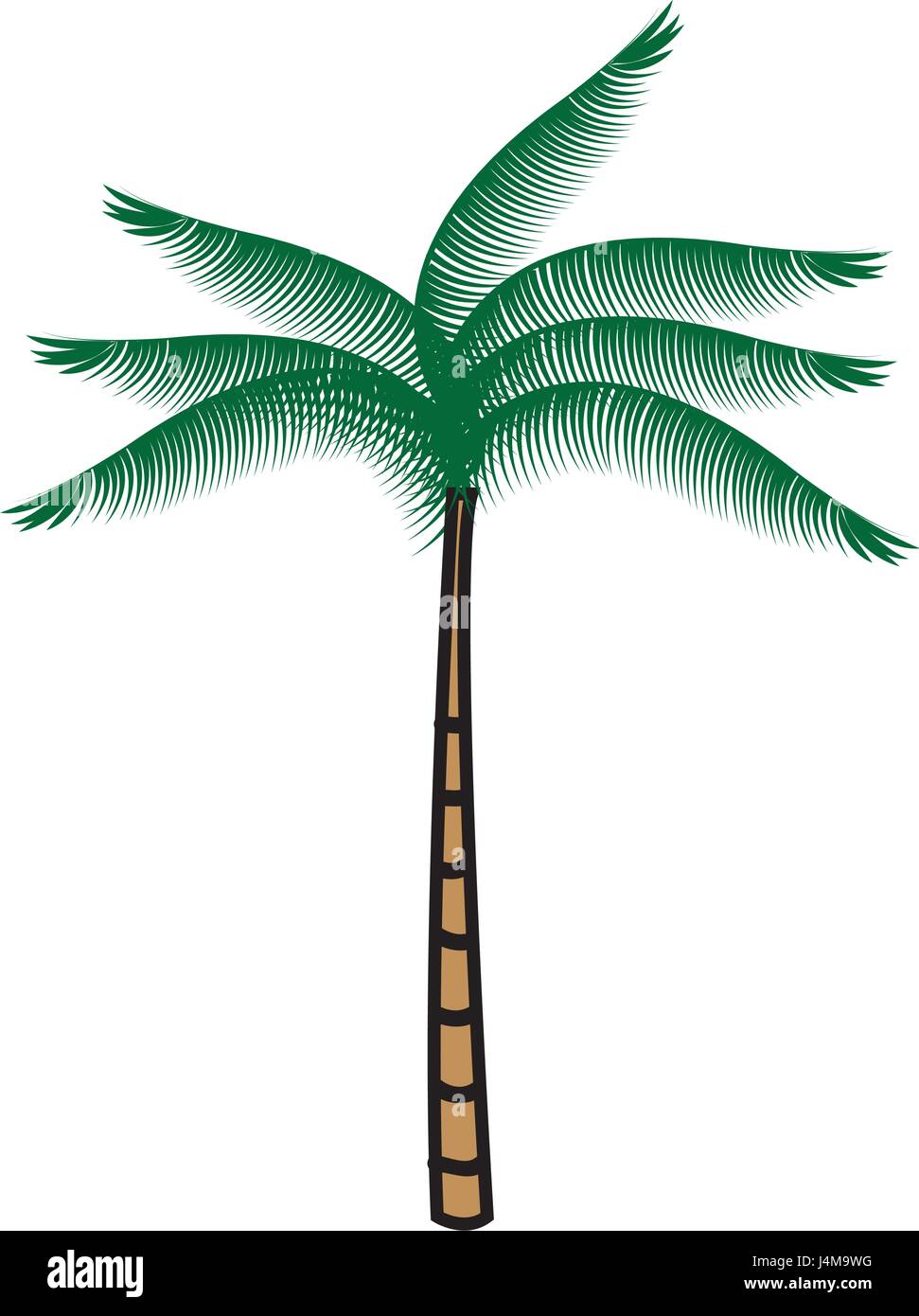 tree palm tropical icon Stock Vector Image & Art - Alamy