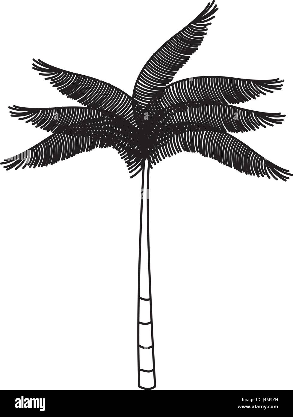 tree palm tropical icon Stock Vector Image & Art - Alamy