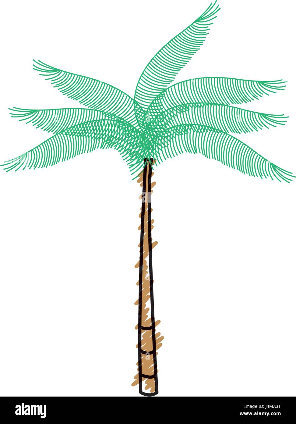 tree palm tropical icon Stock Vector Image & Art - Alamy