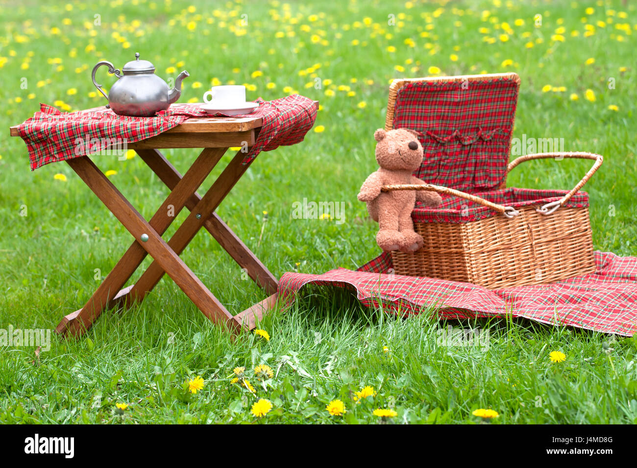 Basket for picnic with teddy bear on a blanket in the park Stock Photo