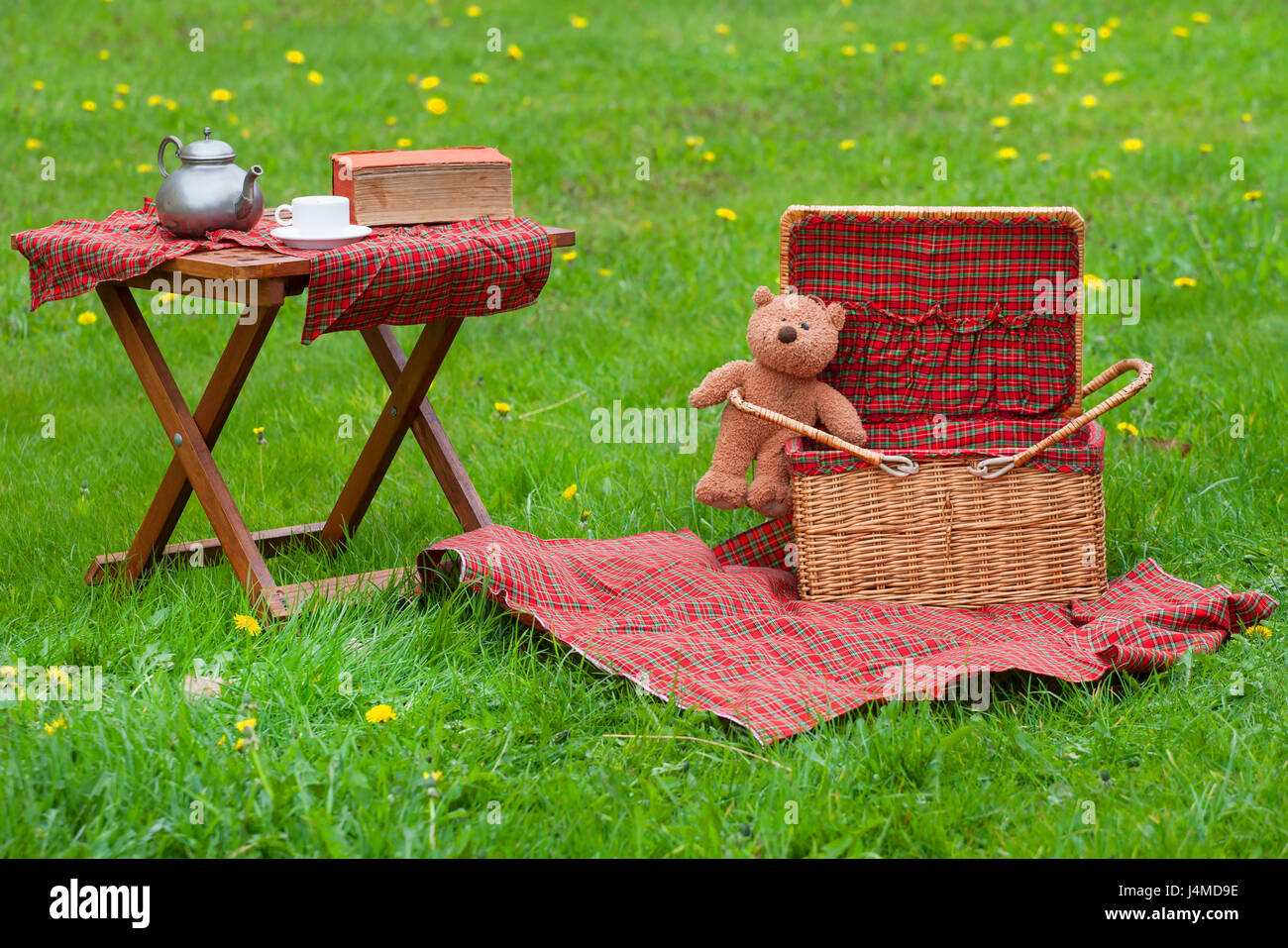 Teddy bear hot sale picnic basket