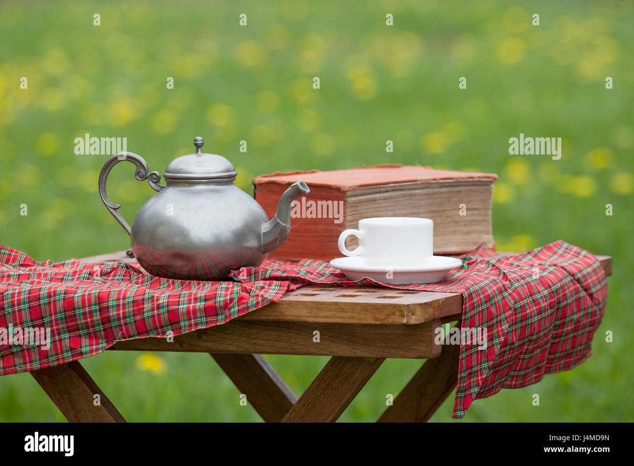 Basket for picnic with teddy bear on a blanket in the park Stock Photo