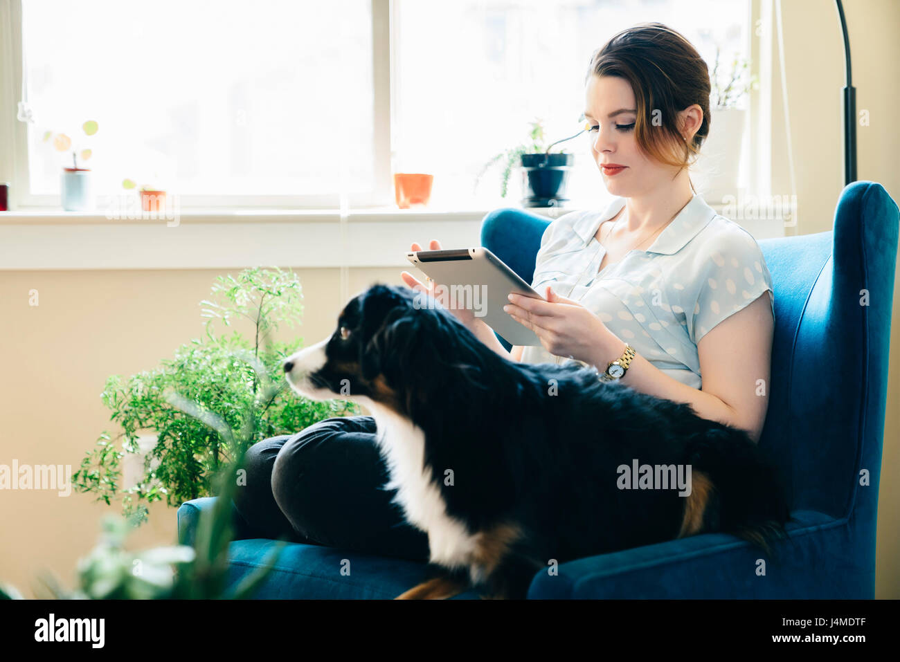 Woman sitting in armchair with dog using digital tablet Stock Photo