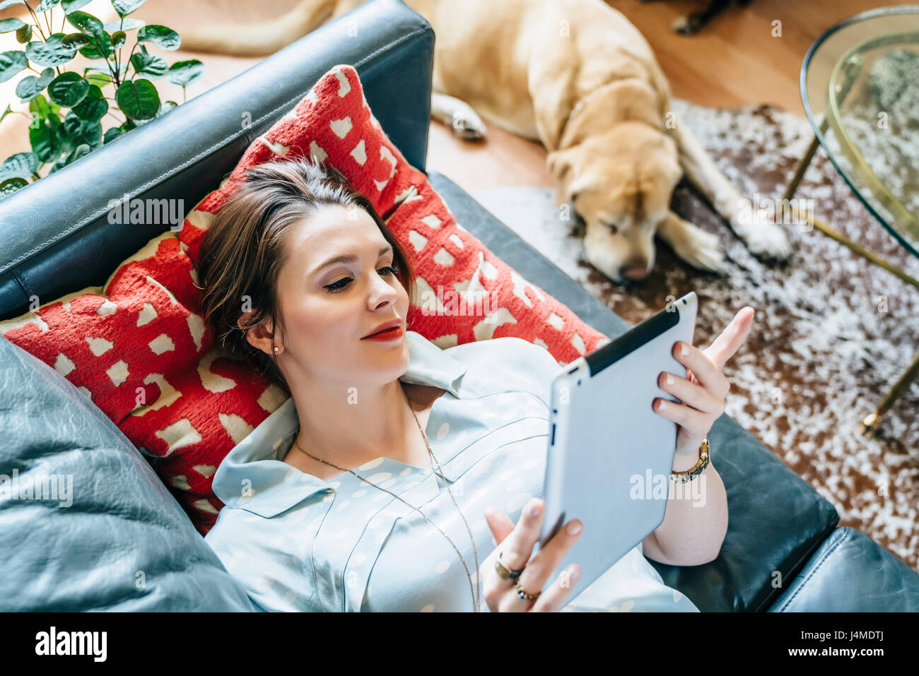 Woman laying on sofa near dog using digital tablet Stock Photo