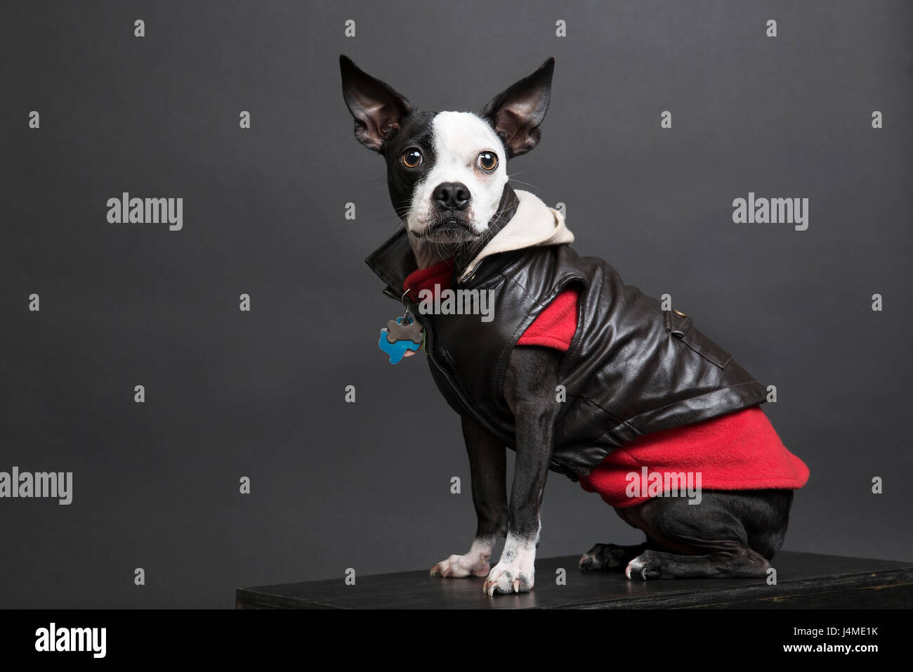 Portrait black jacket leather hires stock photography and images Alamy
