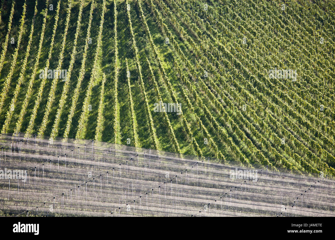 Aerial view of wine country Stock Photo