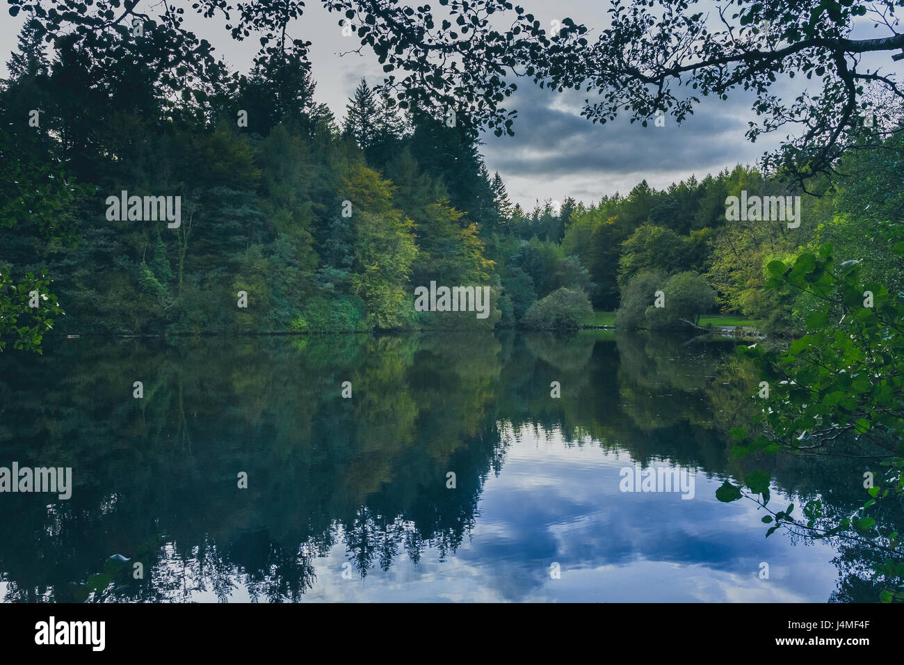 Beautiful shot natural park hi-res stock photography and images - Alamy