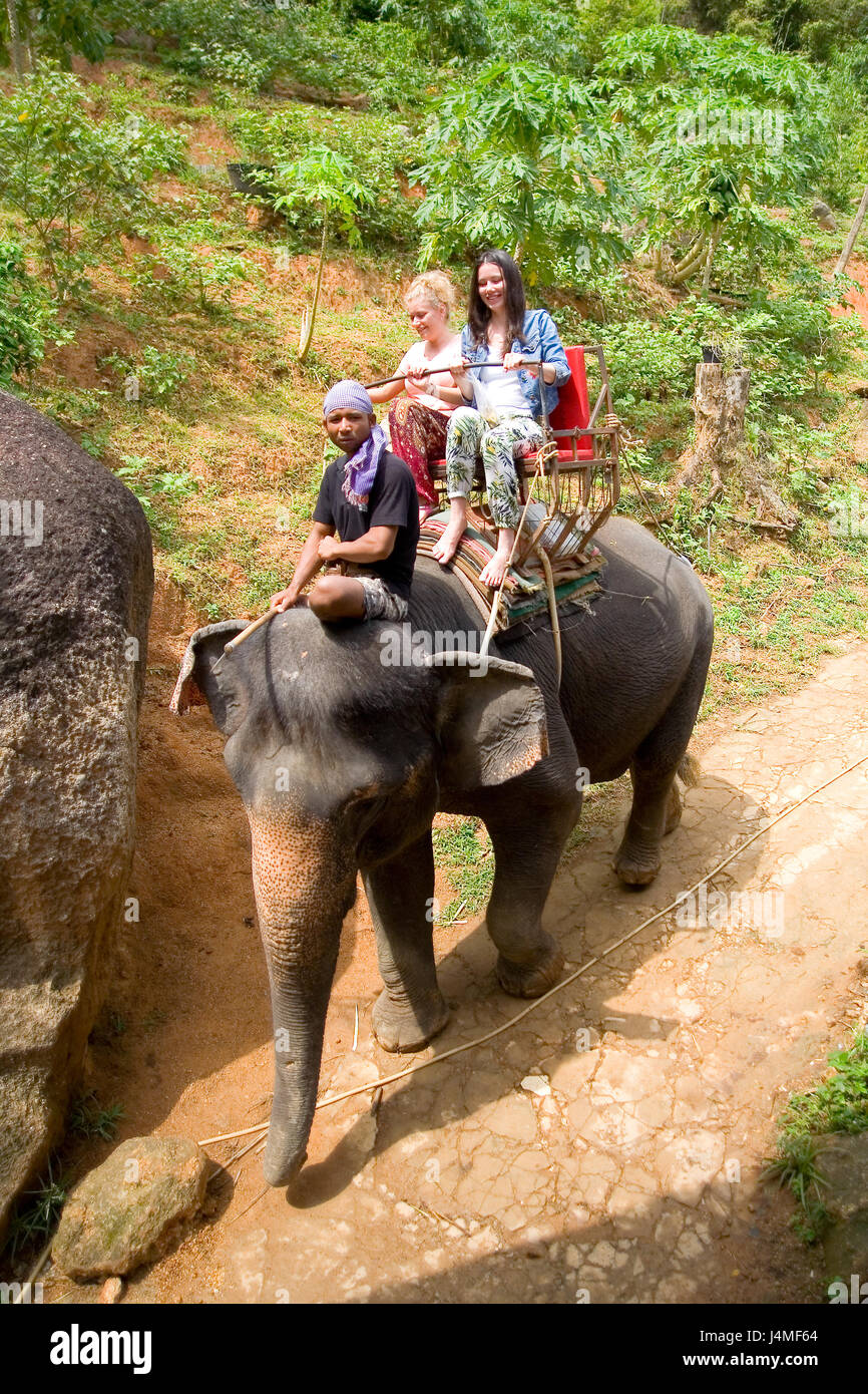 Thailand elephant ride hi-res stock photography and images - Alamy