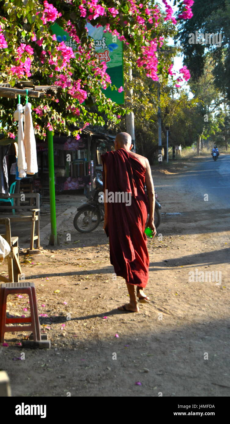 Elderly Buddhist Monk, Old Bagan, Myanmar Stock Photo