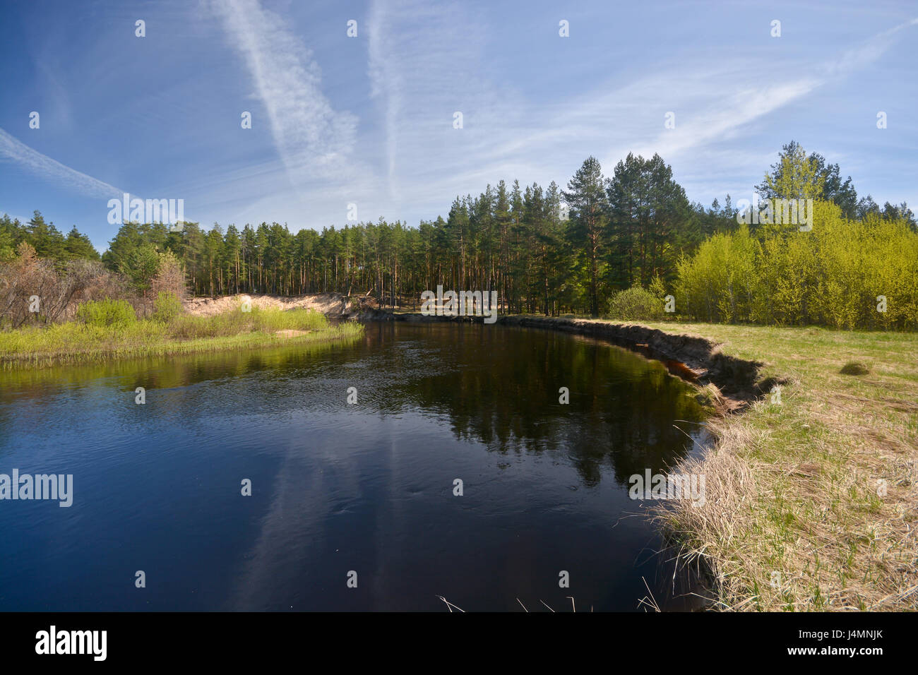 Spring in the national park 