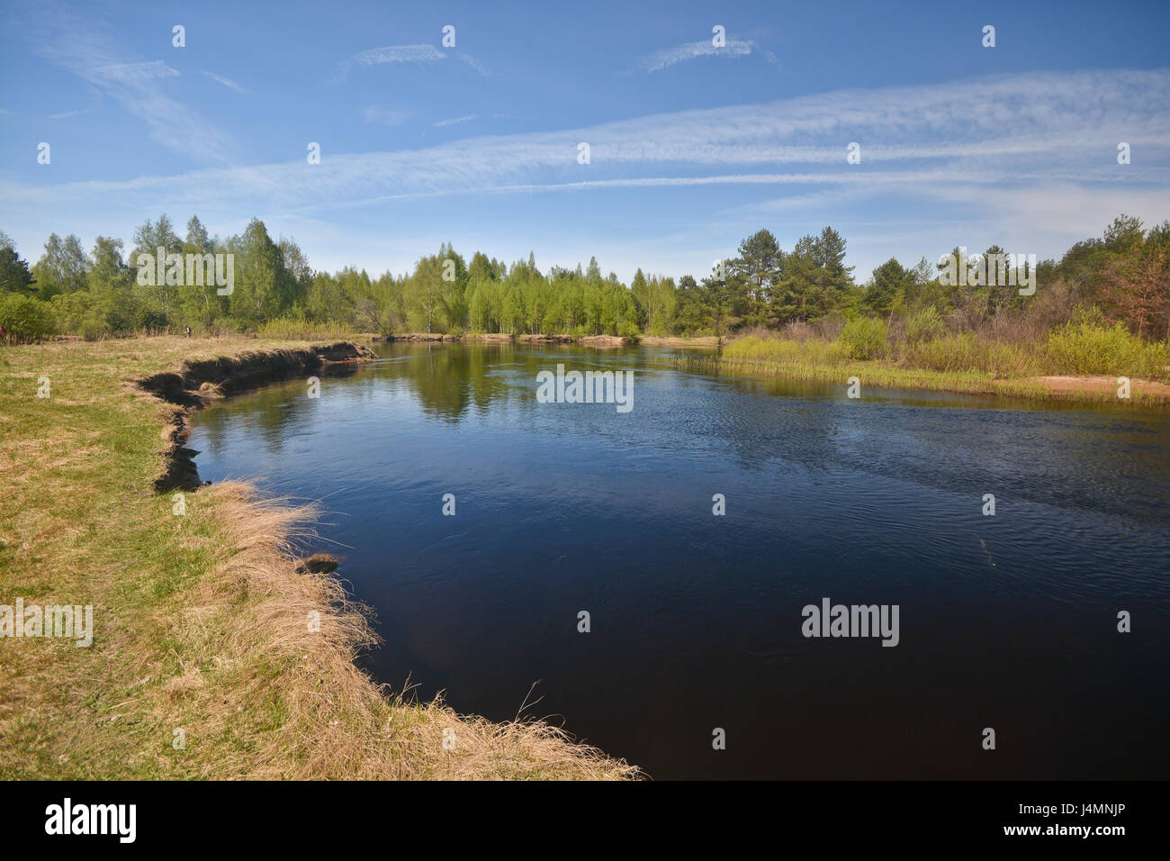 Meshchersky park hi-res stock photography and images - Alamy