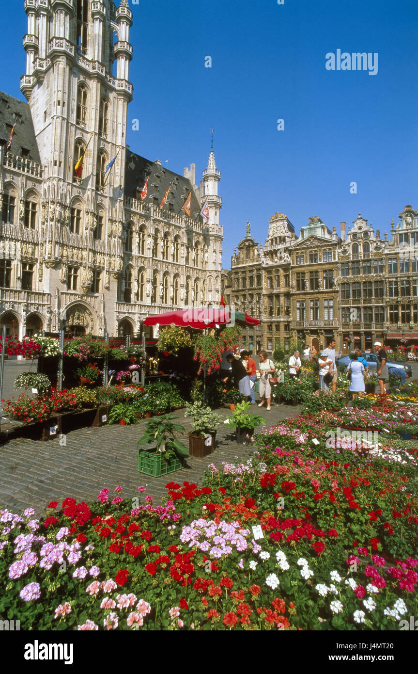 Belgium, Brabant, Brussels, The big square, city hall, detail, flower market Europe, customs union Benelux, province Walloon Brabant, town, city, capital, seat of power, part of town, place of interest, landmark, city centre, architecture, architectural style, Gothic, The Grand Palace, Grote market, building, structure, hotel de Ville, UNESCO-world cultural heritage, market, marketplace, sales, flowers, tourists Stock Photo
