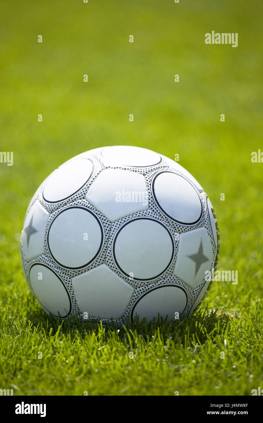 Turfs, football ball, sports device, leather ball ball, black-and-white, ball game, leather ball football, sport, sport, ball sport, football turf, football field, meadow, still life, object photography Stock Photo