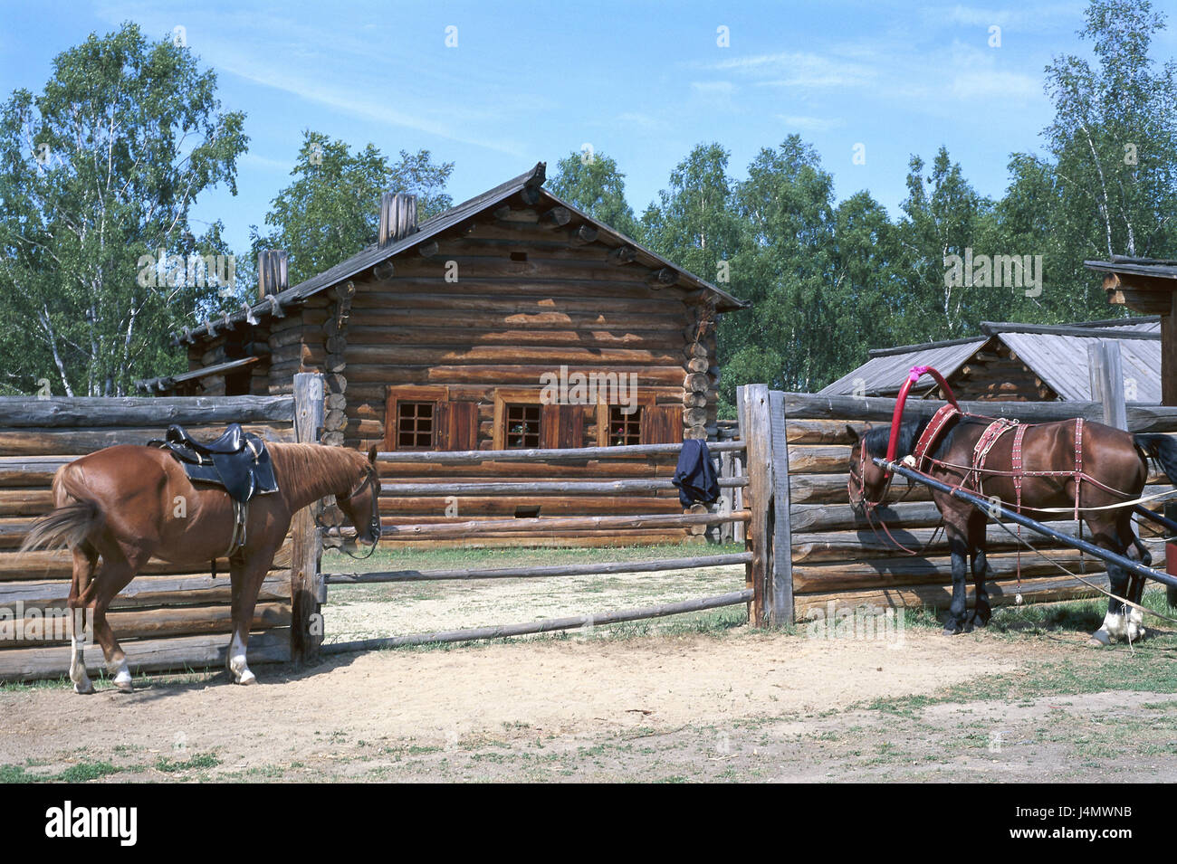 Russia, Siberia, Irkutsk, open-air museum of Taltsy, wooden fence, riding horse, carriage Ostsibirien, Talysij, museum village, fort, museum of Wooden Architecture, fence, horses, bound, architecture, destination, place of interest Stock Photo