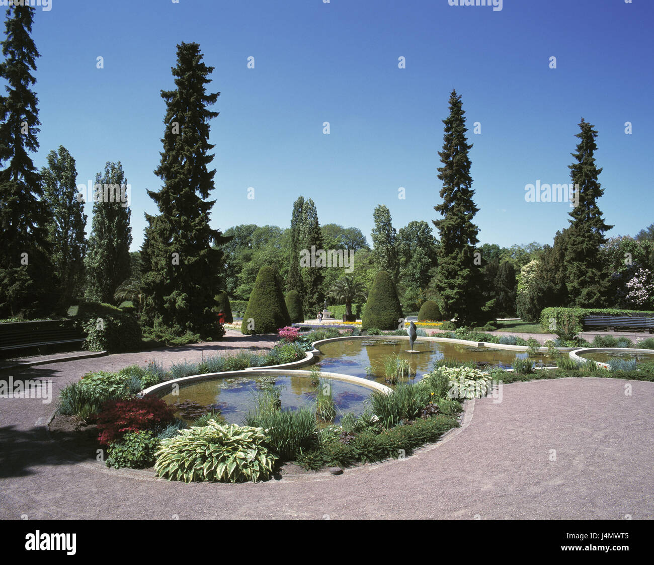 Germany, Berlin-Dahlem, botanical garden, subject garden 'Italian garden', pond Europe, cosmopolitan city, capital, Berlin, area village Zehlen, district of Dahlem, park, park, garden, subject gardens, special gardens, plants, vegetation, in Italian, ponds, waters, ornamental ponds, nature, place of interest, summer Stock Photo