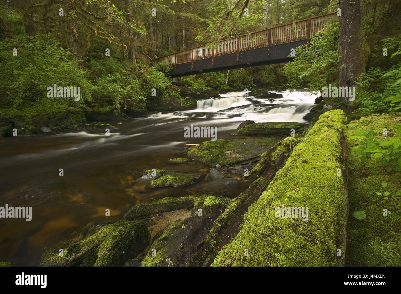 The USA, Alaska, Inside passage, Ketchikan, Settlers Cove, lunch Creek,  bridge North America, the United States of America, Revillagigedo Iceland,  nature, vegetation, botany, rainforest, place of interest, water, nature  power, Lunch-Creek, river,