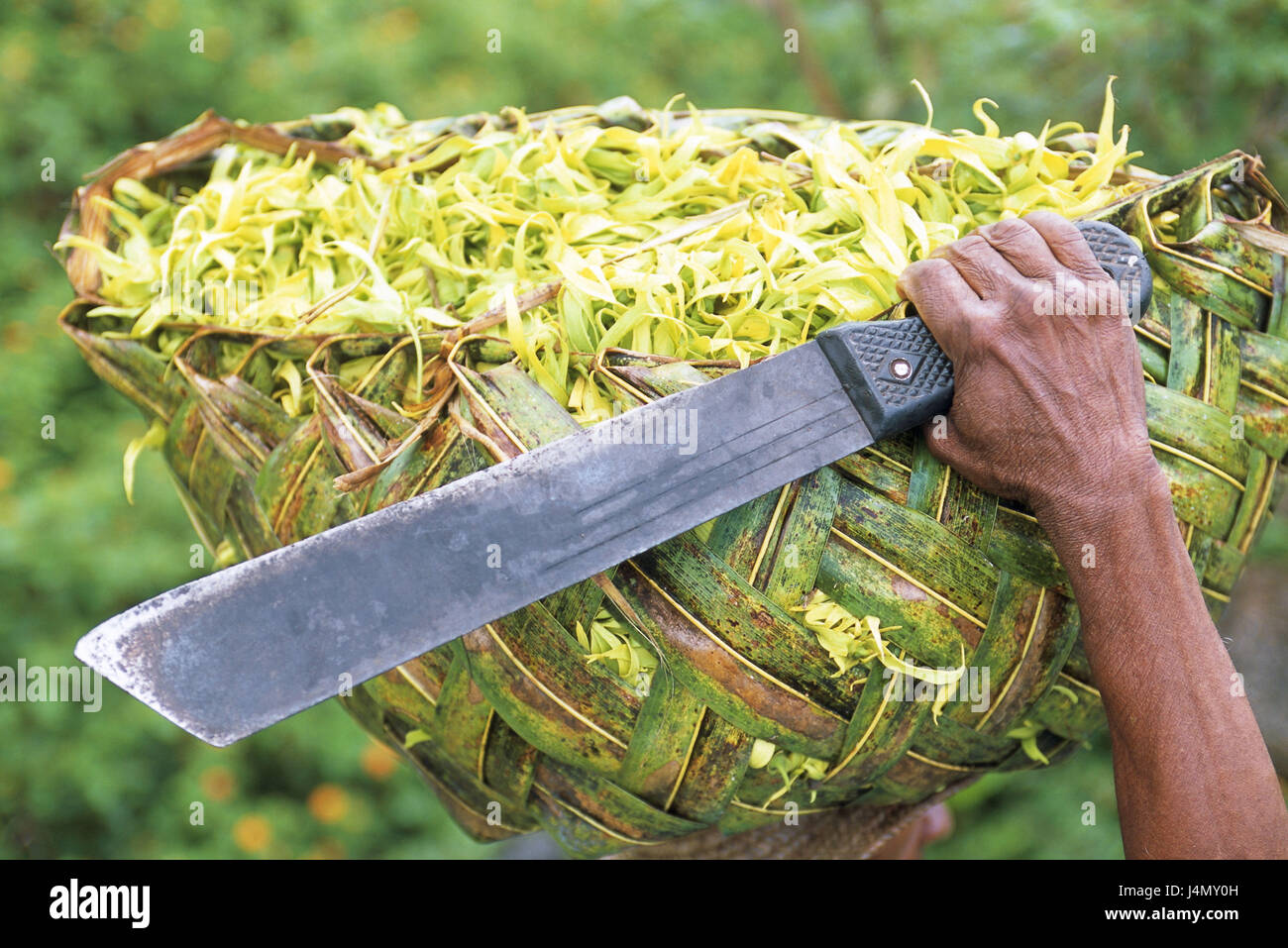 Sariq taytlarda porno