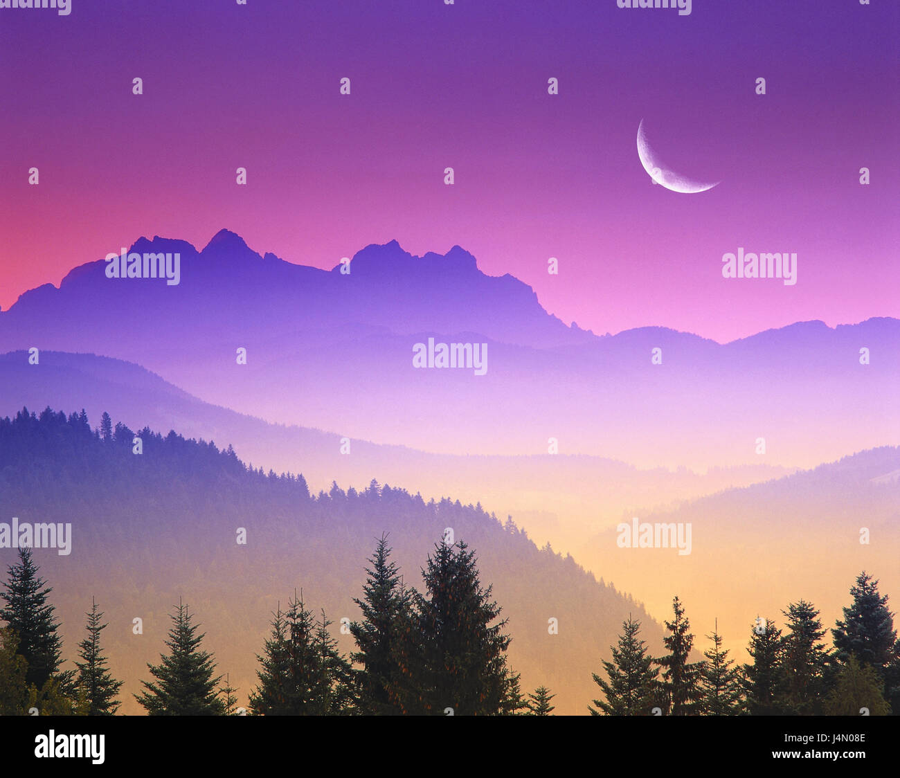 My Image 34