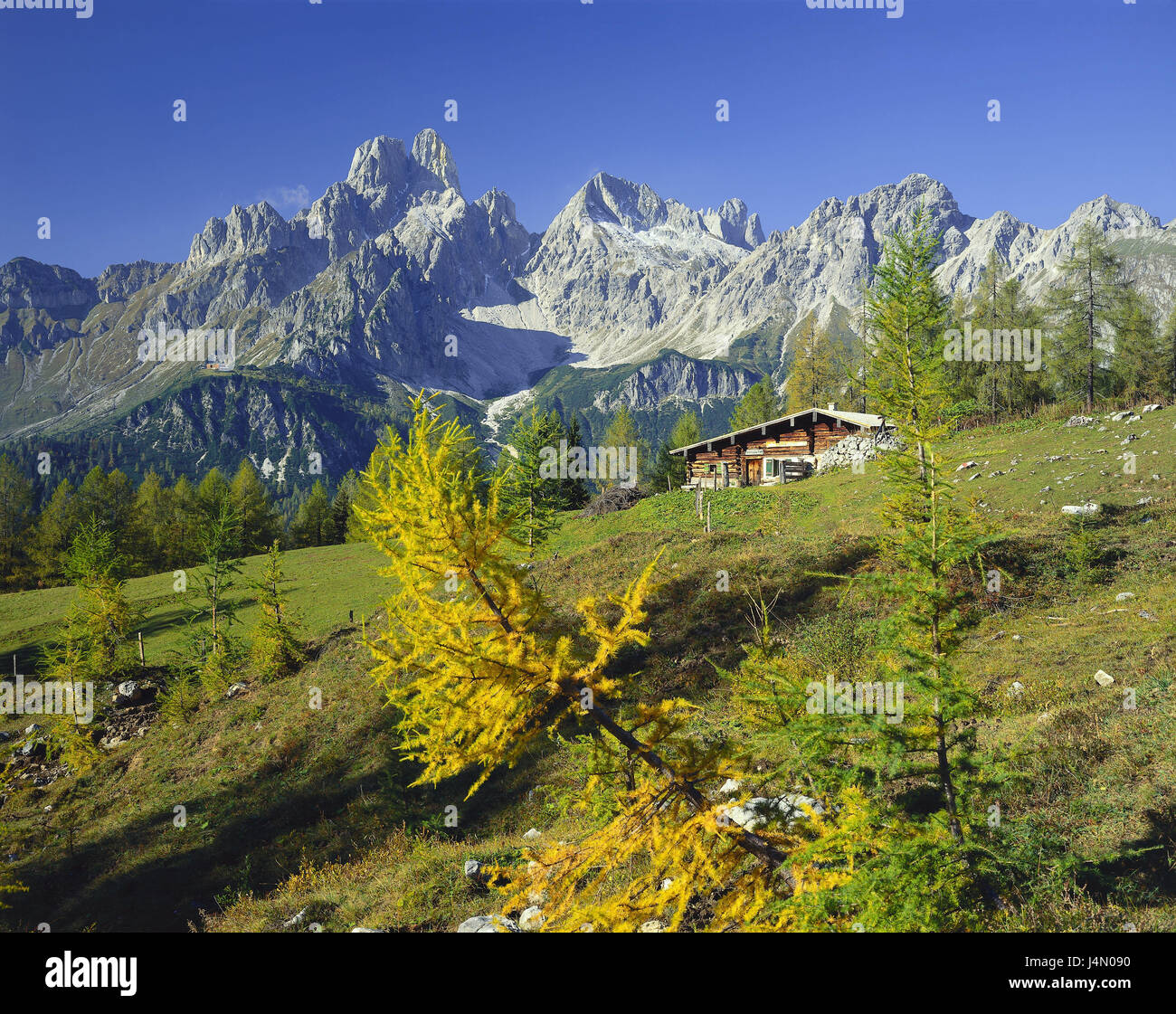 2459 Hi Res Stock Photography And Images Alamy