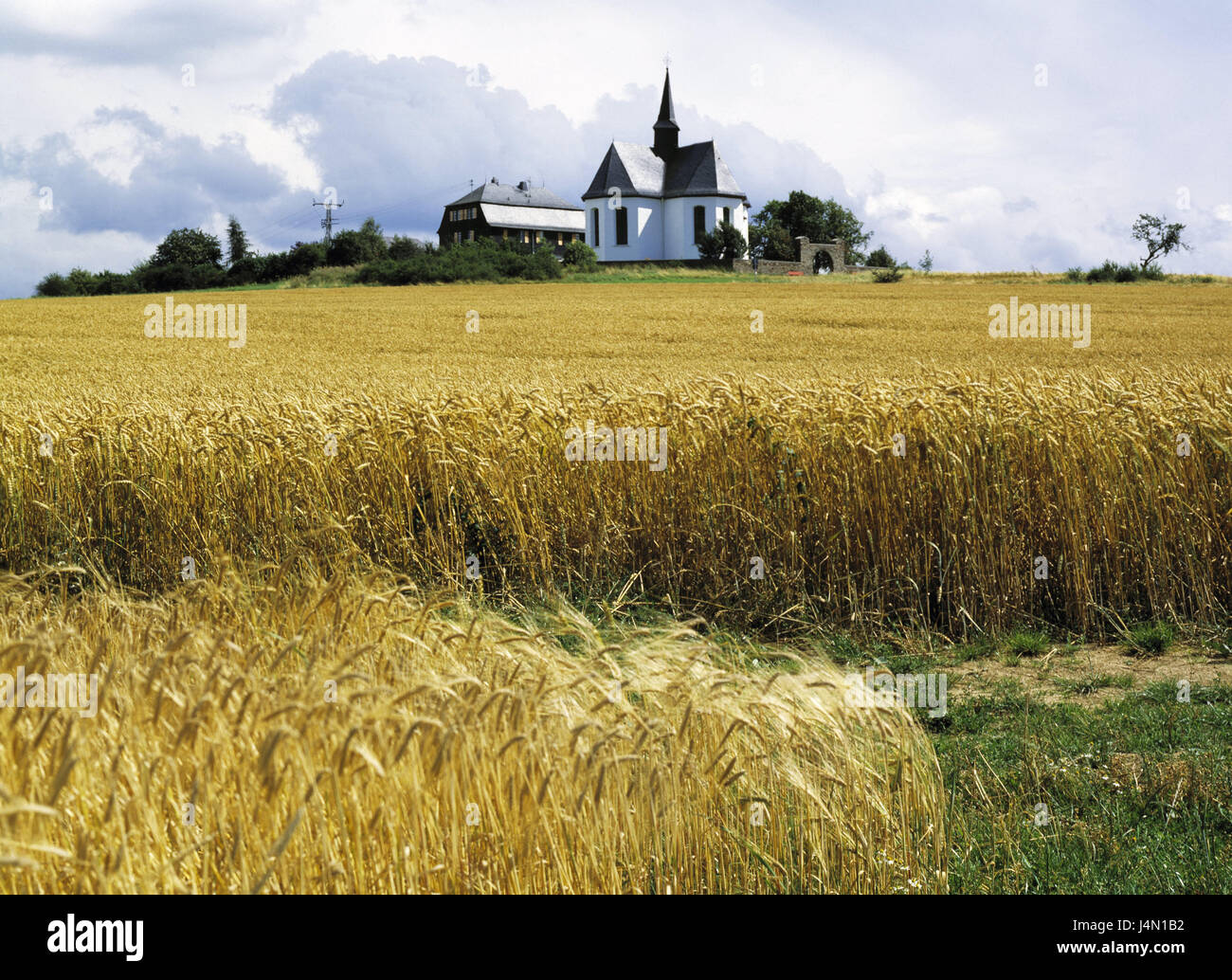 Germany, Hessen, bath Mountain Cam, Grain field, Cross band, Nature reserve, Field, Band, Clouds, outside, deserted, Stock Photo
