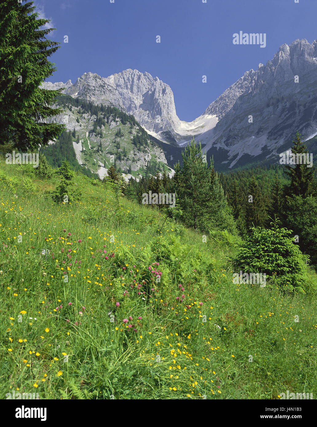 Austria, Tyrol, Ellmau, Wilder Kaiser, Wochenbrunnalm, Ellmauer gate ...